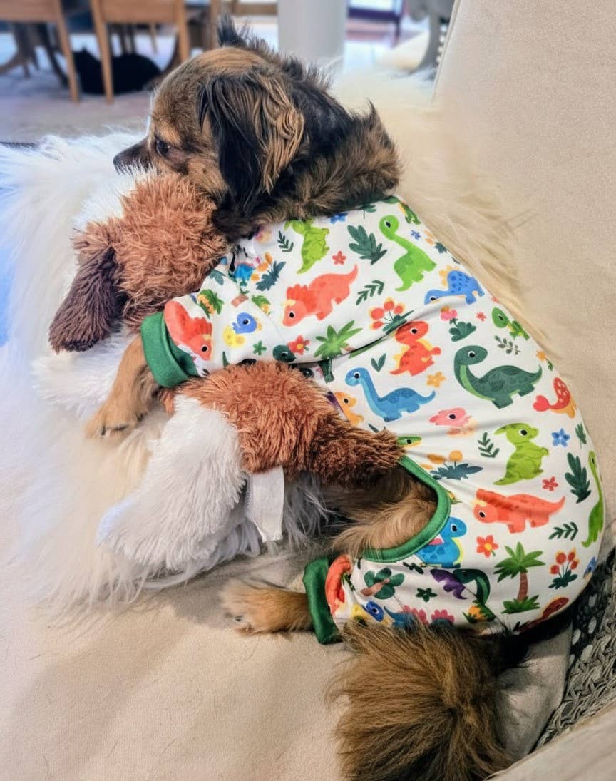 Soft Dog Pajamas - Dinos