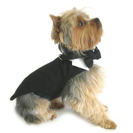 Black Dog Harness Tuxedo w/Tails, Bow Tie, and Collar